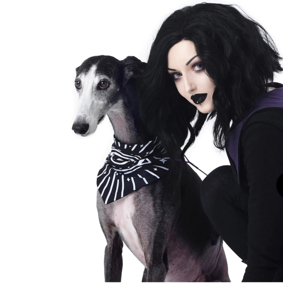 Rogue + Wolf ✦ “Give Me Treatos” Reversible Pet Bandana ✦ Black Ouija Vegan XS/S - Picture 9 of 14